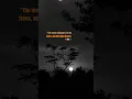 Download Lagu “The moon whispers to the trees, and the night listens.✨❤️ #quietsun #themeltingofthesun #travel