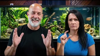 Does Size Matter? What's The Perfect Aquarium Size?