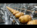 Inside a Pringles Production Line From Raw Potatoes to Stacked Potato Crisps Full Process