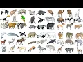 Coloring 54 Animals in One Satisfying Marker Art Compilation