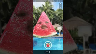 البطيخة طيور الجنه 