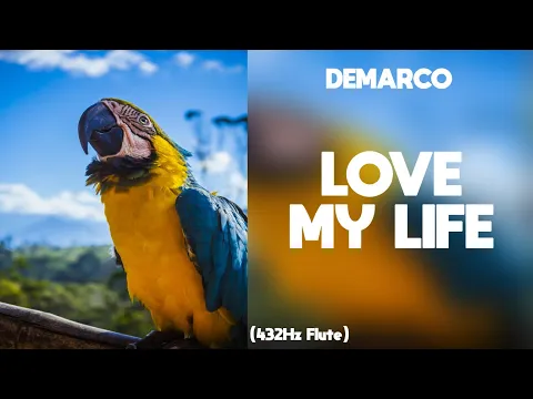 Download MP3 DEMARCO - Love My Life (432Hz)