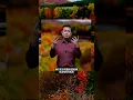 Download Lagu CERITAKAN KEBAIKAN TUHAN #renungan #blessed #kebaikantuhan #gbibethel #motivasi #rubinadiabraham