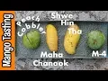 Tasting More Mangos! (Maha Chanook, Shwe Hin Tha, Peach Cobbler, M-4)