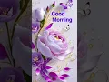Good morning Beautiful good morning whatsapp