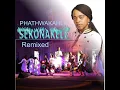 Lagu Phathwakahle: Sekonakele Remix