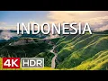 Download Lagu Indonesia 4K Video Ultra HD: Beautiful Nature Scenery with Relaxing Music | 4K Top Travel
