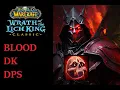 They wanted to kick me from this pug for playing blood - Blood Dk DPS