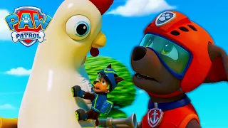 DESASTRE! A Galinheta Conduz o Comboio?! 🐔😱 | Patrulha Pata | PAW Patrol | Compilação