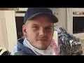 Avicii Admitted He FEARED Death Before His Passing