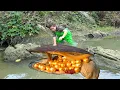 Download Lagu This yellow clam is filled with treasures, it's really unbelievable