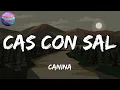 🎵 Reggaeton || Canina - Cas Con Sal (Letra/Lyrics)