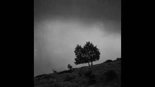 Unloved Sad Shiloh Dynasty Type Beat 