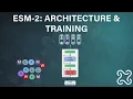 ESM-2 Protein Language Model Explained - Architecture Training