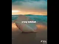 Download Lagu Lagu minang vira ditiktok tiktok