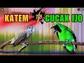 Lagu MASTERAN FULL TEMBAKAN CEPAT MASUK‼️CUCAK IJO - KAPAS TEMBAK - CUCAK CUNGKOK SEMUA BURUNG KICAU