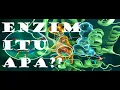 Download Lagu KULIAH BIOKIMIA: ENZIM