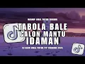 1 JAM DJ TABOLA BALE X CALON MANTU IDAMAN SLOW VIRAL TIKTOK FULL SONG | MAMAN FVNDY 2025