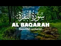 Surah Al-Baqarah Complete | Calm \u0026 Heart-Touching Tilawat