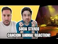 British Reaction to Soda Stereo – Canción Animal (El Último Concierto)