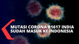 Download Waspada! Mutasi Corona B1617 dari India Sudah Masuk ke Indonesia MP3