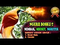 Download Lagu MASTERAN BURUNG CENDRAWASIH GACOR PALING DICARI