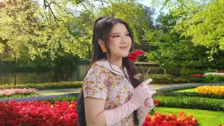 tiara andini kupu kupu official lyric video 