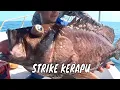 Download Lagu Menaklukkan Ikan Besar Penghuni Laut Sumbawa | MANCING MANIA STRIKE BACK  (17/05/25) Part 2