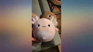 Squishmallows Kellytoy Set of 8 5 inch Sea Squishmallows Indie Orzella review