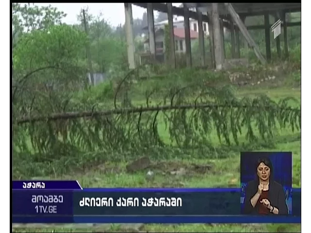 ქარმა ქობულეთში ხეები მოგლიჯა და ელექტროსადენები დააზიანა
