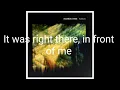 Midas - Maribou State feat. Holly Walker (w\ lyrics)