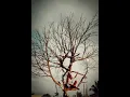 Download Lagu ko tinggal bilang rindu ado sayang sa juga😔💖