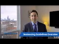 U S Federal Sentencing Guidelines Overview Sami Azhari