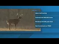 Tennessee considering changes to deer hunting