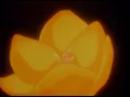 【公式】アニメ『キューティーハニーF』OP映像：SALIA「キューティーハニー」/Cutie Honey Flash