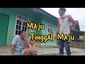 Download Lagu KOMEDI LAMPUNG...  judul Maju Tinggal Maju