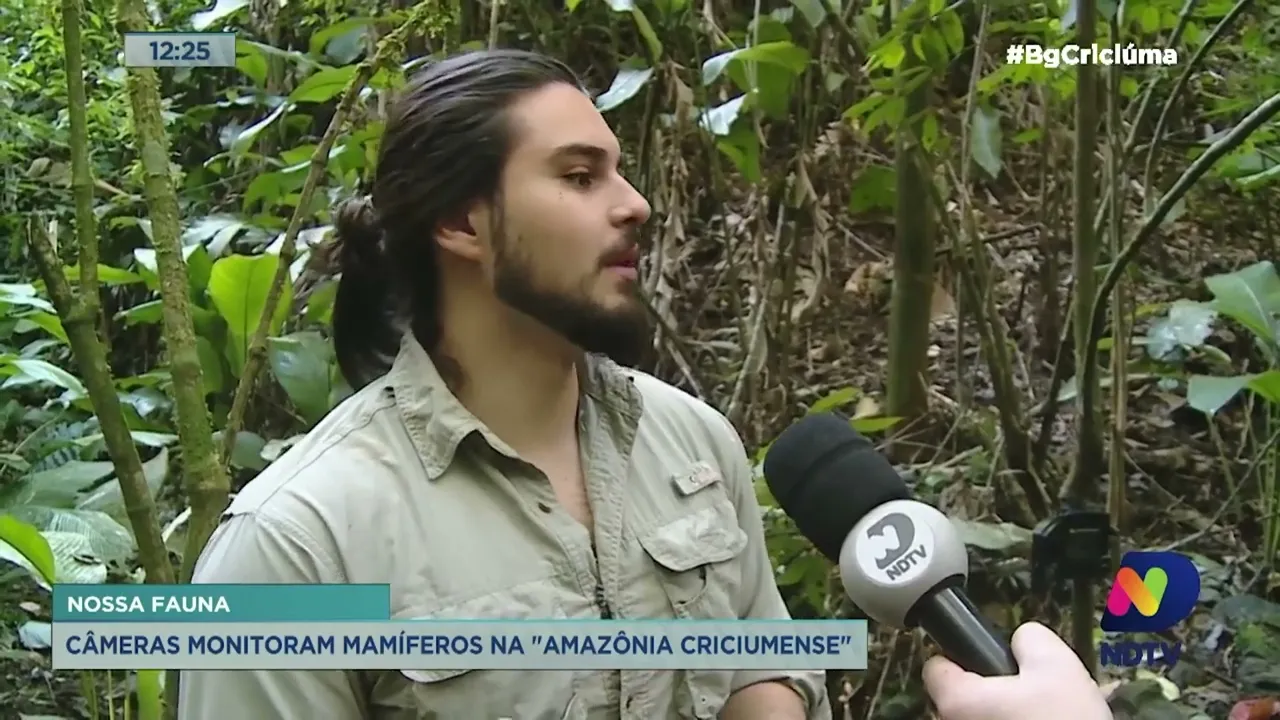 Câmeras monitoram mamíferos na "Amazônia criciumense"