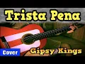 Download Lagu TRISTA PENA - GIPSY KINGS meets flamenco gipsy guitarist GUITAR COVER