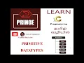 BASIC OR PRIMITIVE DATATYPES
