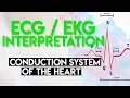 Download Lagu Electrical Conduction System of the Heart | ECG EKG Interpretation (Part 1)