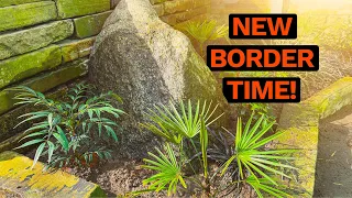 Download Planting a NEW Garden Border with Easy, Tough Evergreen Plants MP3