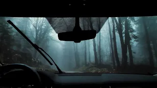 Immersive Dark Forest Ambiance to Relax and Sleep / Relaxing Rain Sounds