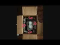 17 CSS - Box Model Padding