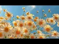 Download Lagu 𝐏𝐥𝐚𝐲𝐥𝐢𝐬𝐭 산뜻한 가을 아침🌼 상쾌한 당신의 아침을 위한 기분 좋은 가을 모닝 재즈∣A Refreshing Autumn Morning Jazz Playlist