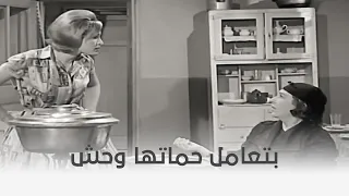 أعز الحبايب   بتتخانق مع حماتها وتزعقلها وتفتري عليها قدام جوزها    دندنها
