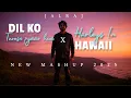 Download Lagu Harleys In Hawaii X  Dilko Tumse Pyar Hua -JalRaj | New Mashups 2025