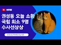 Download Lagu [250827] 권성동 오늘 소환 … 국힘 최소 9명 수사선상