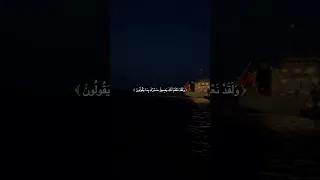 و ل ق د ن ع ل م أ ن ك ي ض يق ص د ر ك ب م ا ي ق ول ون محمود جمال سورة الح جر 