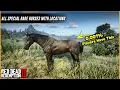 All Rare Horse Locations Red dead redemption 2