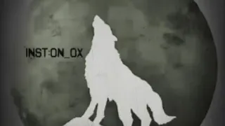 قصيدة ما جاتني الدنيا على الكيف يا ذيب 